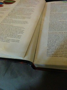 player's handbook falling apart